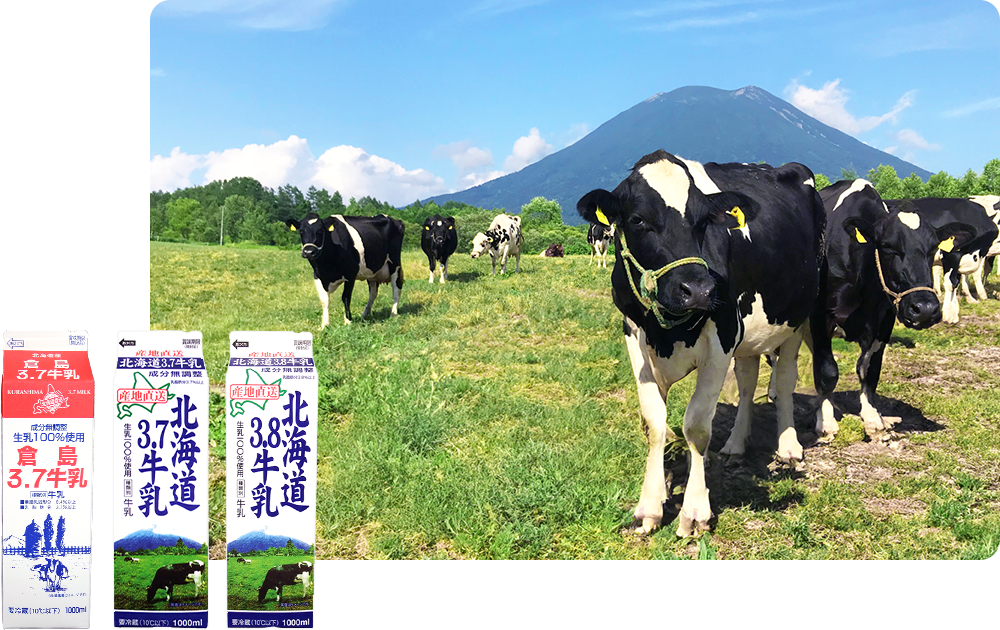倉島3.7牛乳、北海道3.7牛乳、北海道3.8牛乳と数頭の牛がこちらを向いている写真