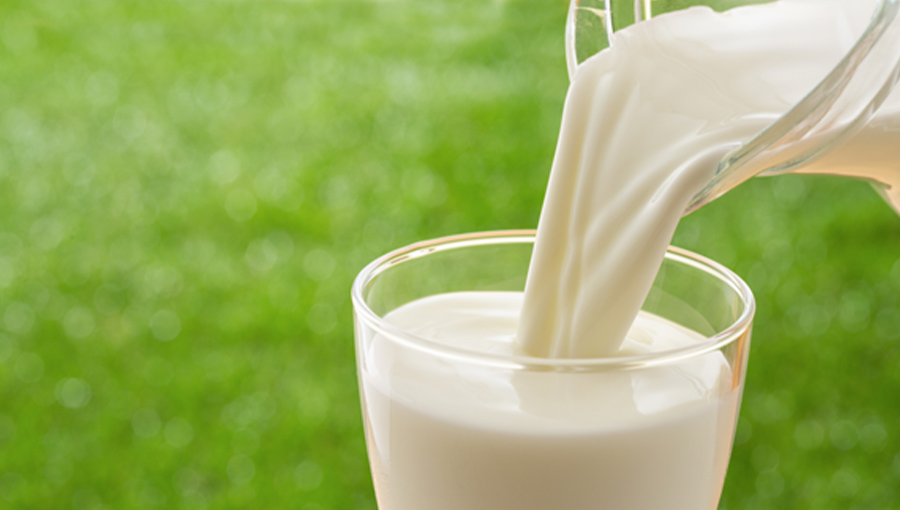 コップに注がれる牛乳の写真